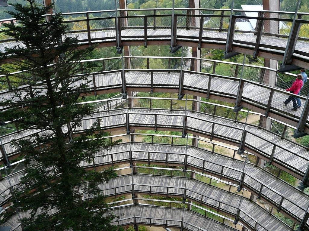 Holographic interface displaying personalized learning analytics and progress metrics