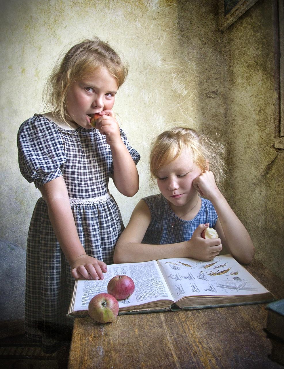 Brain illustration with behavioral loop