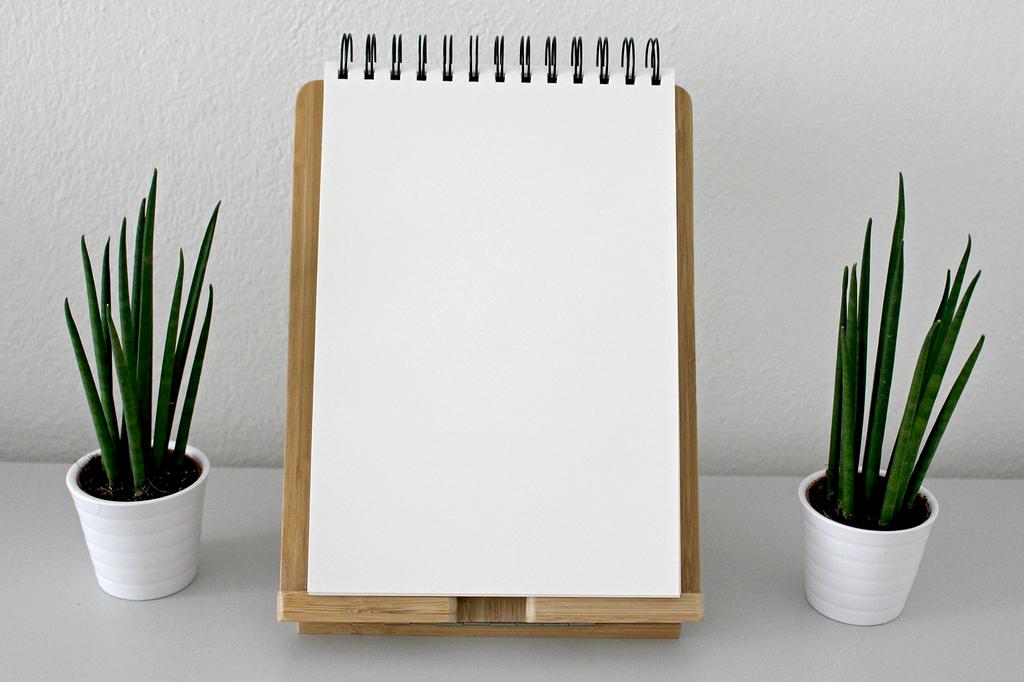 Person writing goals and priorities in a journal