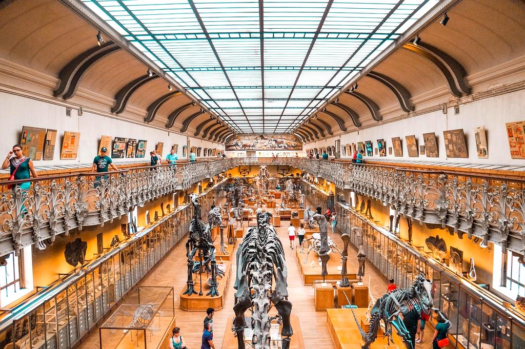 Exclusive content library with advanced learning modules